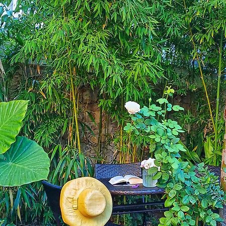 Wunderkammer B&B Pulsano Zewnętrze zdjęcie